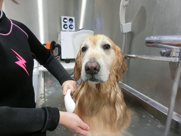 ファイル 4942-5.jpg