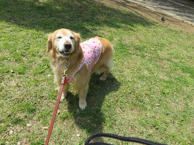 ファイル 4943-1.jpg