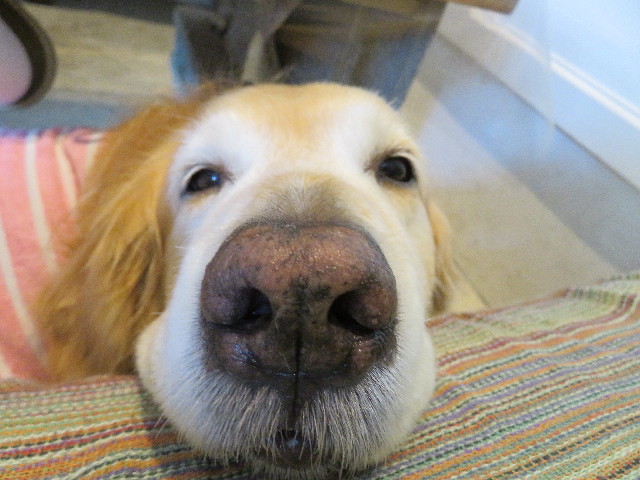 ファイル 4949-4.jpg