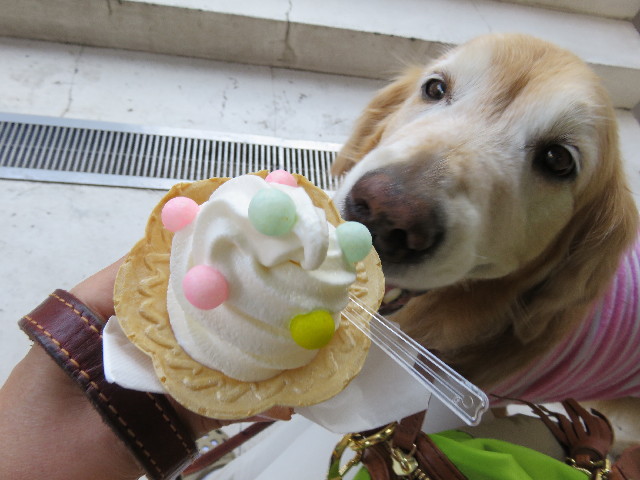 ファイル 4949-5.jpg