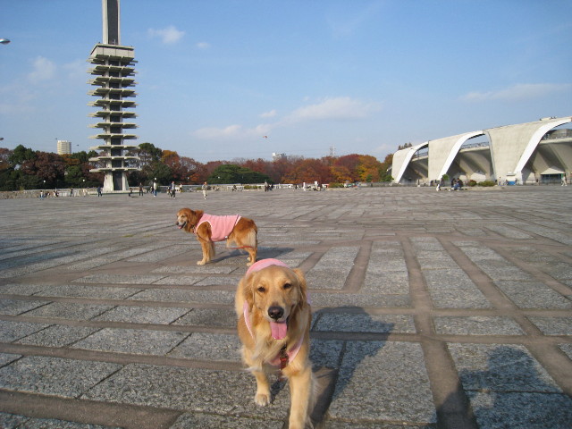 ファイル 495-1.jpg