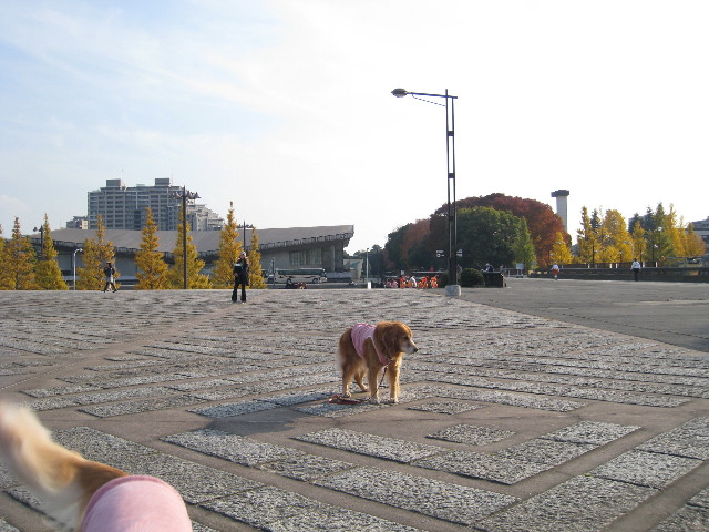 ファイル 495-2.jpg