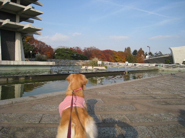 ファイル 495-3.jpg