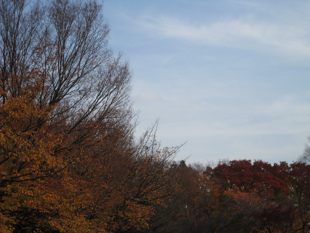 ファイル 495-4.jpg