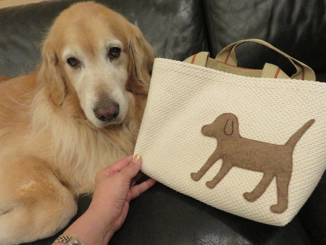 ファイル 4951-5.jpg