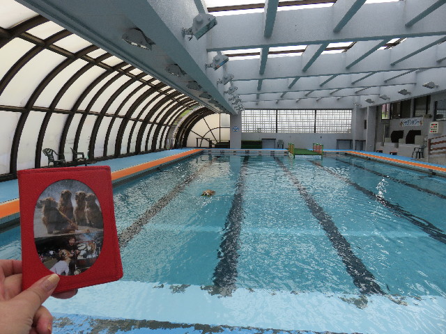 ファイル 4957-4.jpg