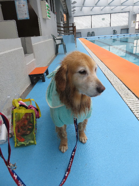 ファイル 4959-4.jpg