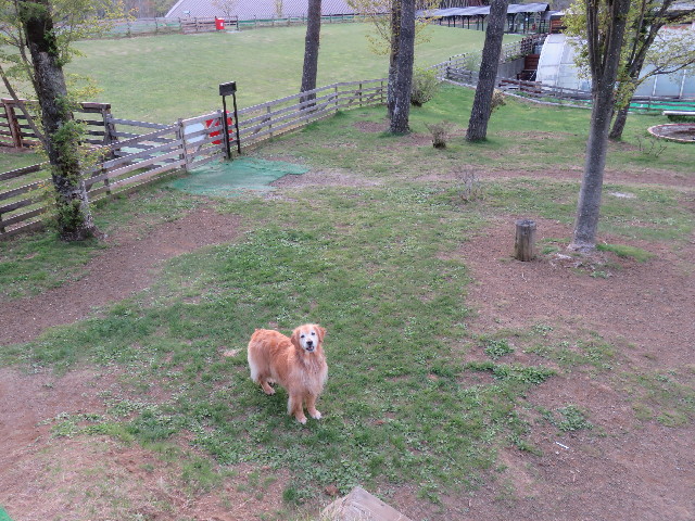 ファイル 4960-3.jpg