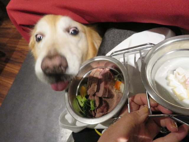 ファイル 4960-5.jpg