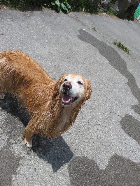 ファイル 4962-3.jpg