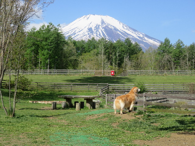 ファイル 4964-2.jpg