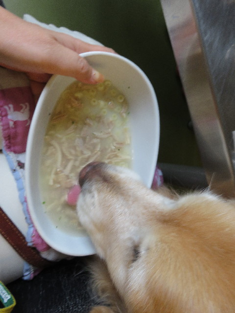 ファイル 4965-3.jpg