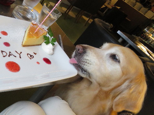 ファイル 4965-4.jpg