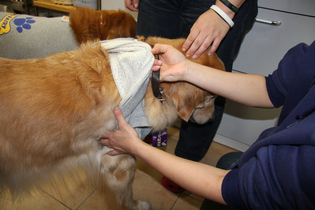 ファイル 497-5.jpg