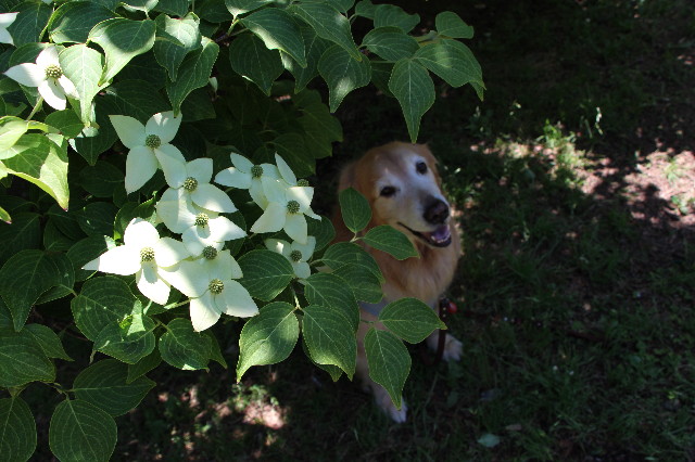 ファイル 4973-2.jpg