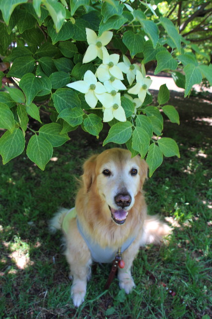 ファイル 4973-3.jpg