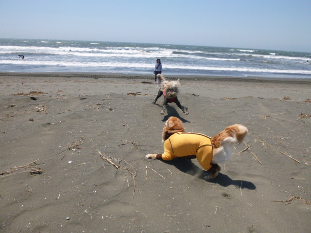 ファイル 4977-1.jpg