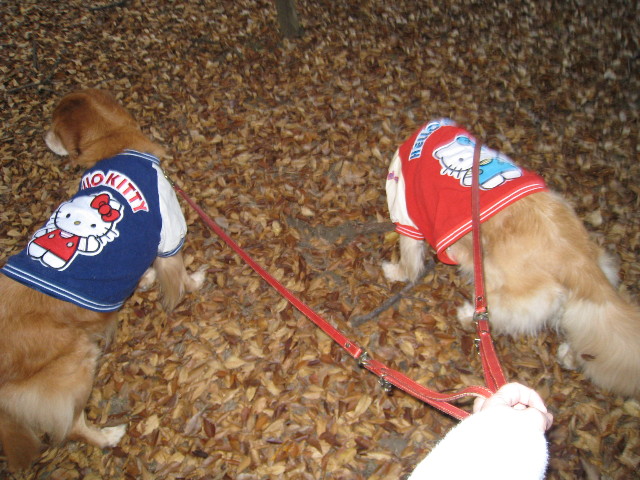 ファイル 498-1.jpg