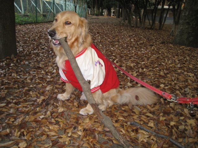 ファイル 498-2.jpg