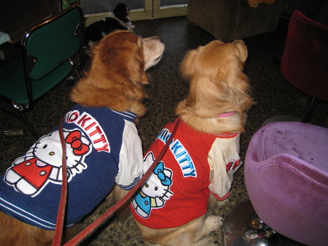 ファイル 498-4.jpg