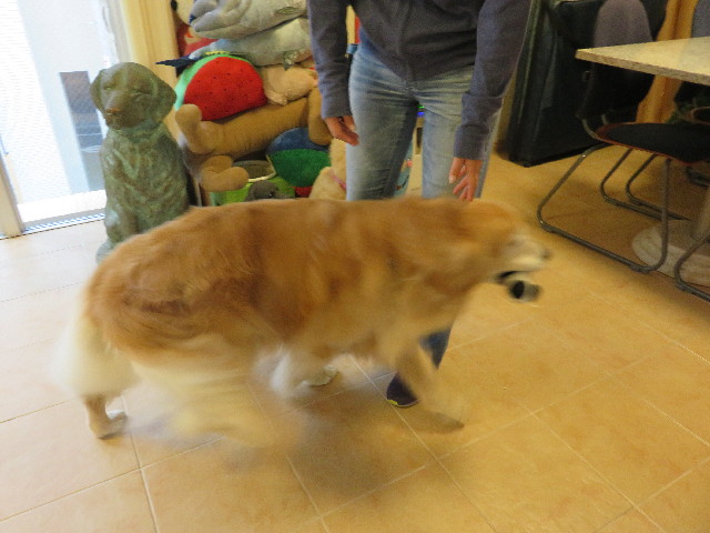 ファイル 4980-3.jpg