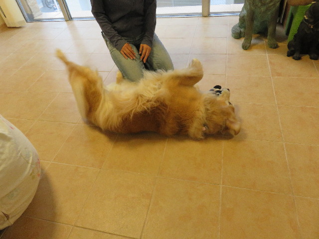 ファイル 4980-5.jpg