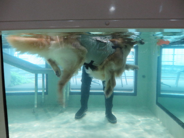 ファイル 4982-3.jpg