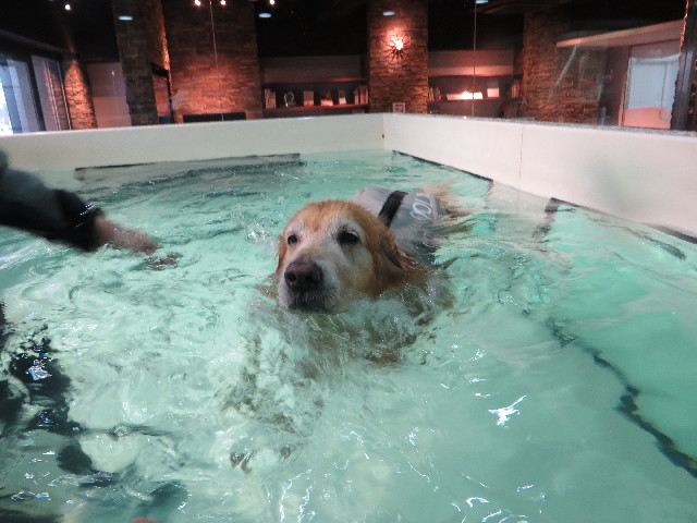 ファイル 4982-4.jpg