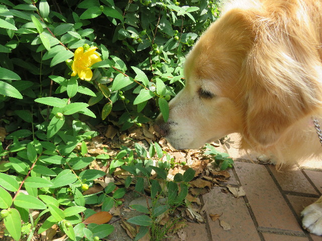 ファイル 4984-3.jpg