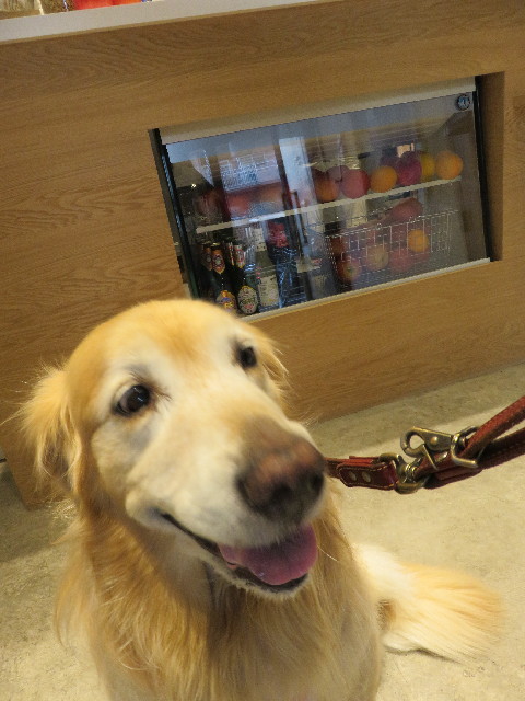 ファイル 4985-1.jpg