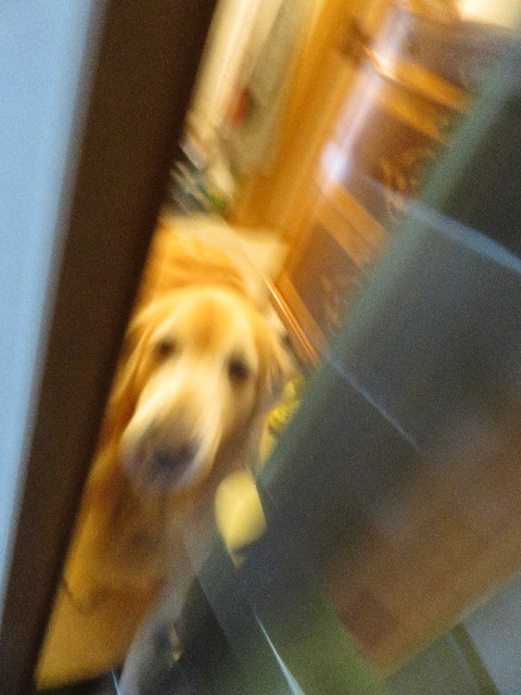 ファイル 4985-5.jpg