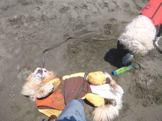 ファイル 4986-3.jpg