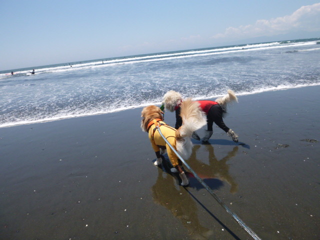 ファイル 4986-5.jpg