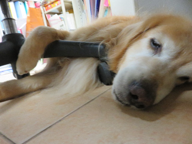 ファイル 4987-4.jpg