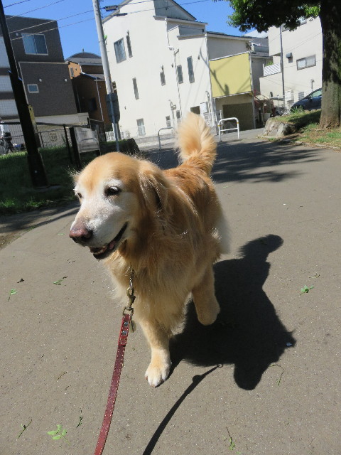 ファイル 4988-5.jpg