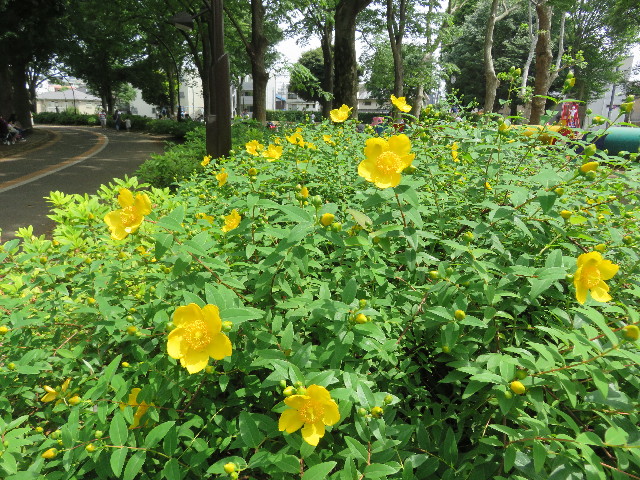 ファイル 4989-3.jpg