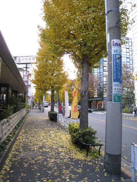 ファイル 499-4.jpg