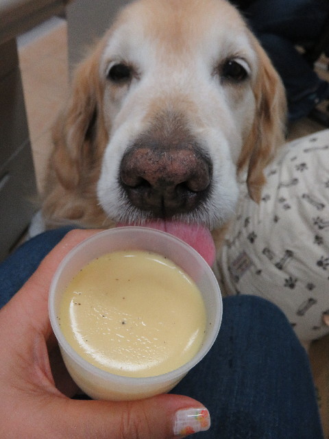 ファイル 4990-5.jpg