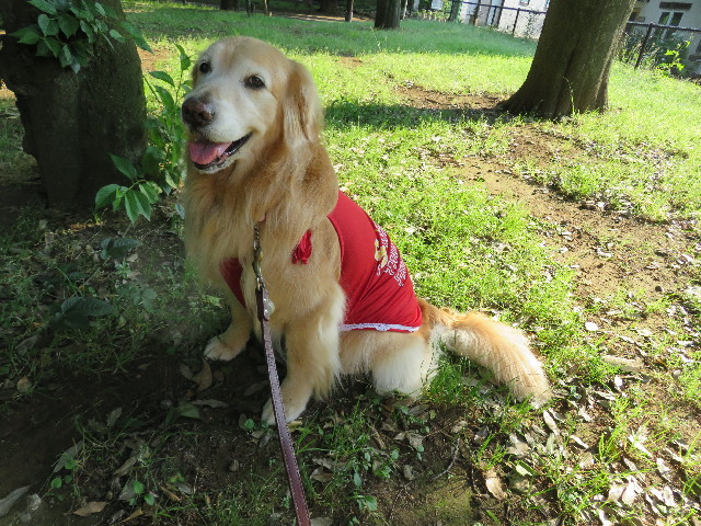 ファイル 4994-2.jpg