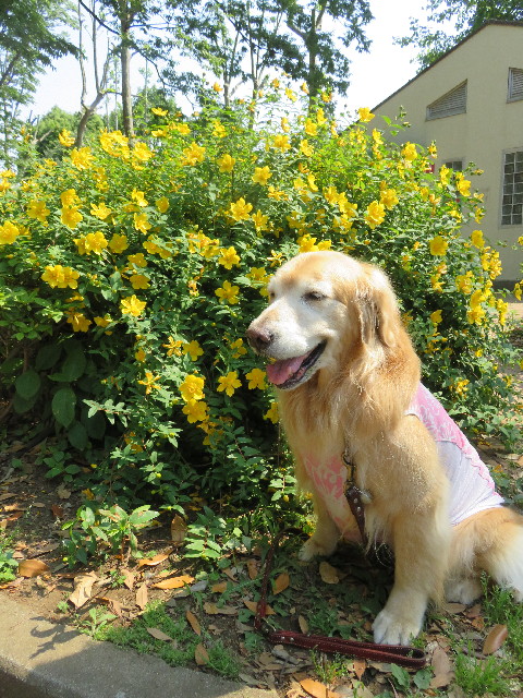 ファイル 4995-2.jpg