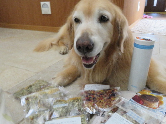 ファイル 4996-5.jpg