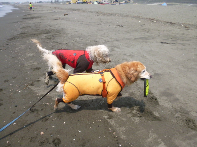 ファイル 4997-3.jpg