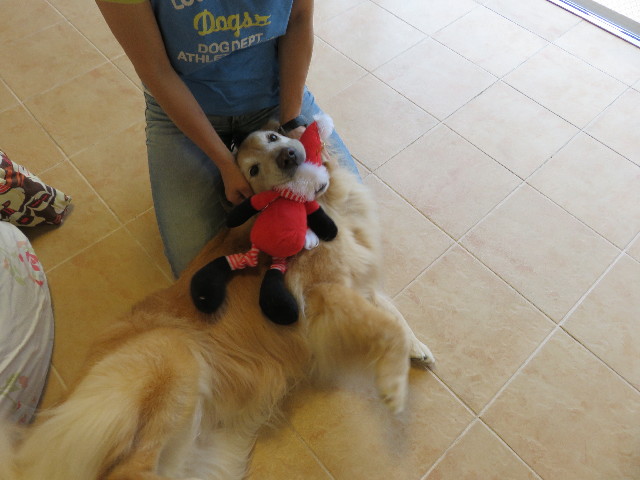 ファイル 4998-4.jpg