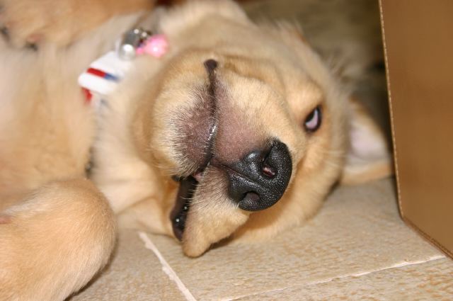 ファイル 50-3.jpg