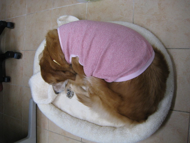 ファイル 500-2.jpg