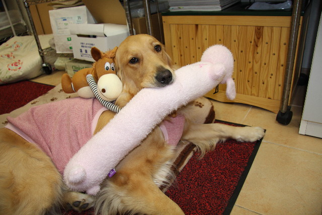 ファイル 500-3.jpg