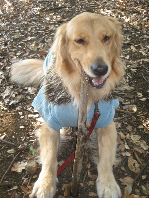 ファイル 500-5.jpg