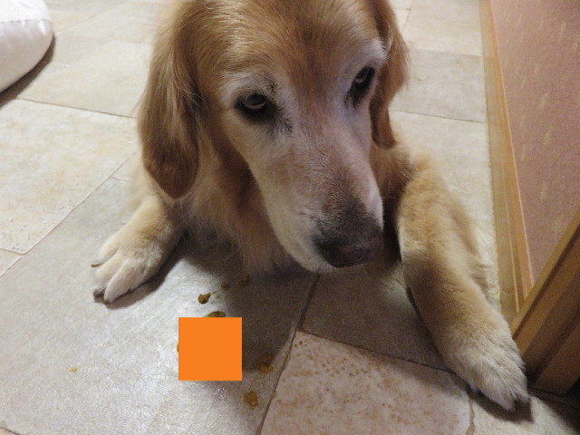 ファイル 5002-1.jpg