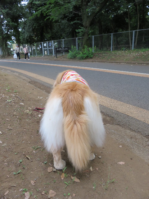 ファイル 5002-2.jpg