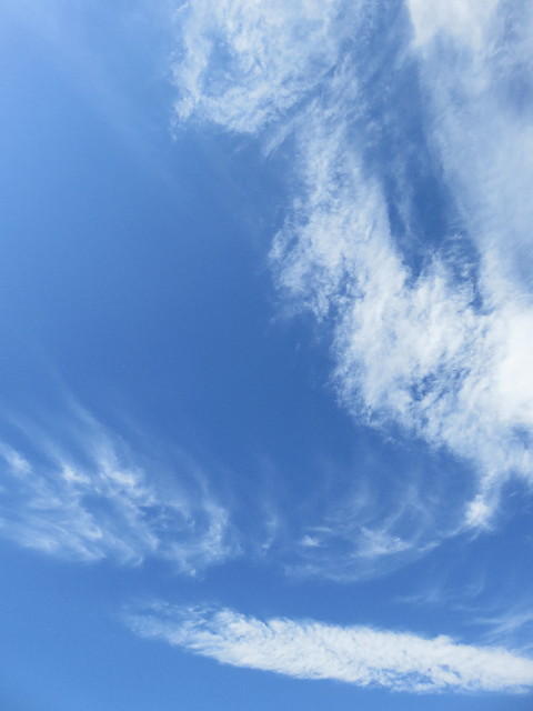 ファイル 5003-1.jpg